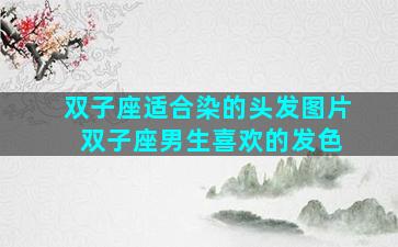 双子座适合染的头发图片 双子座男生喜欢的发色